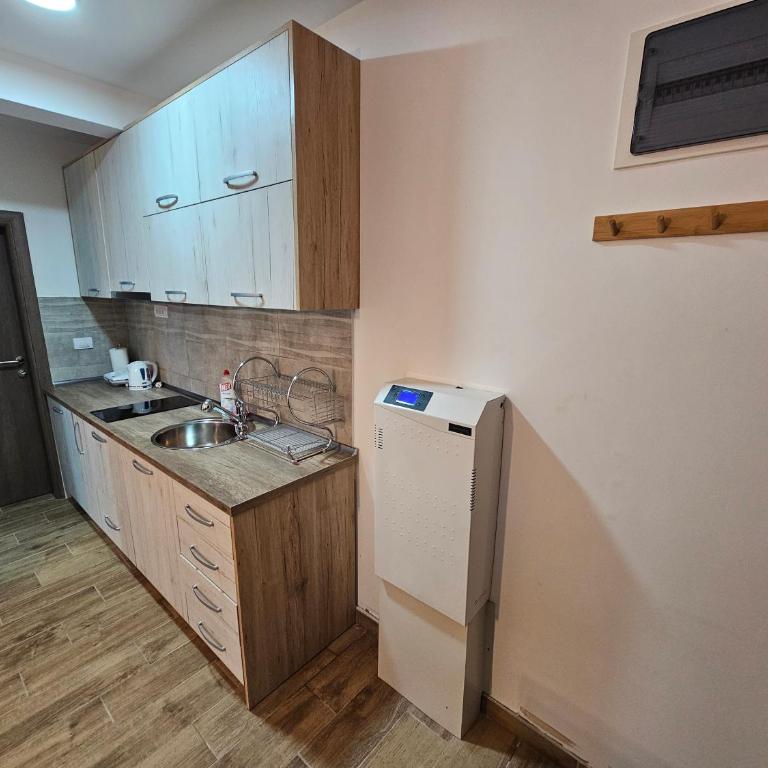 Apartman Stoiljković - Apartman sa 1 Spavaćom Sobom - 7