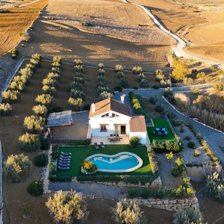 Villa el Rincón de la Jara - Villa - 1