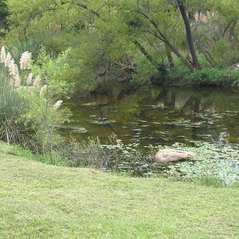 Cabañas Wasirumi Pileta y bajada al Rio - Chalet de 1 dormitorio - 12