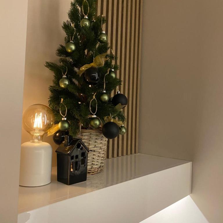 Apartman Harmony - Apartman sa 1 Spavaćom Sobom - 18