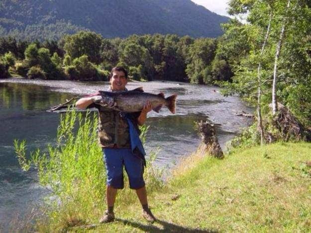 Cabañas Los Canelos Hermosa granja en Pucón - Casa de 5 dormitorios - 3