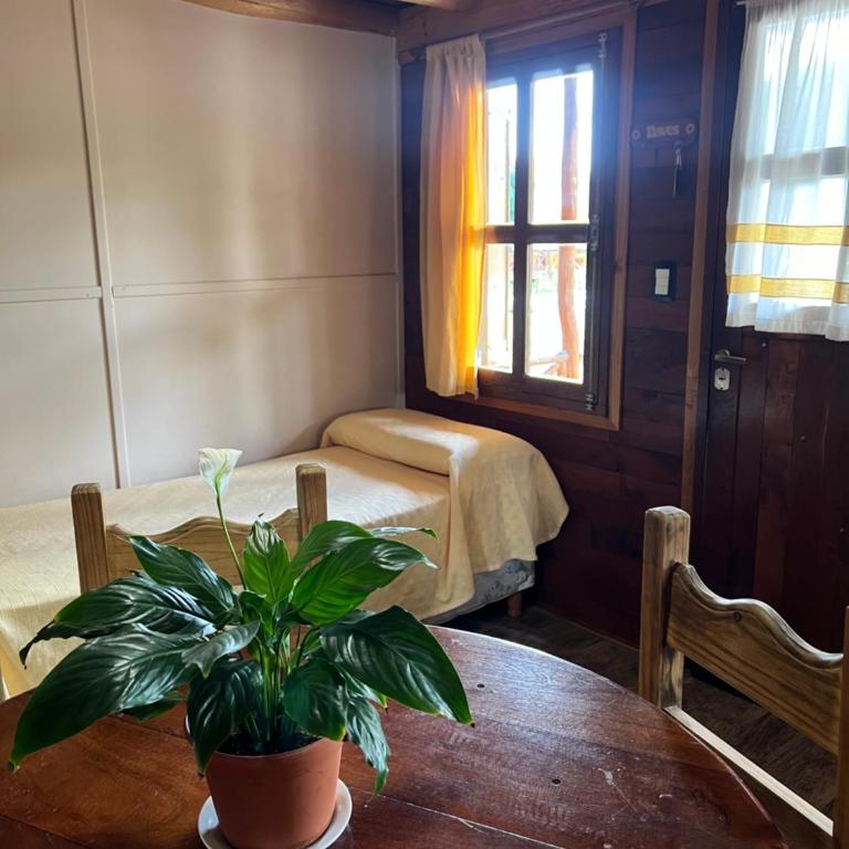 BoraBora - Bungalow - 11