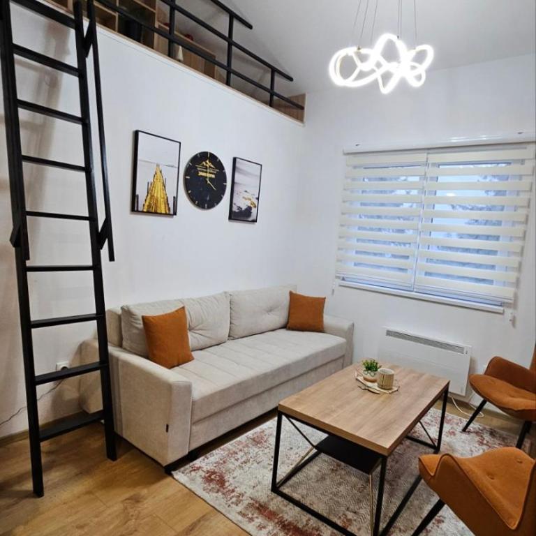 Vila Jahor - Apartmani Trifković - Apartman sa 1 Spavaćom Sobom - 1