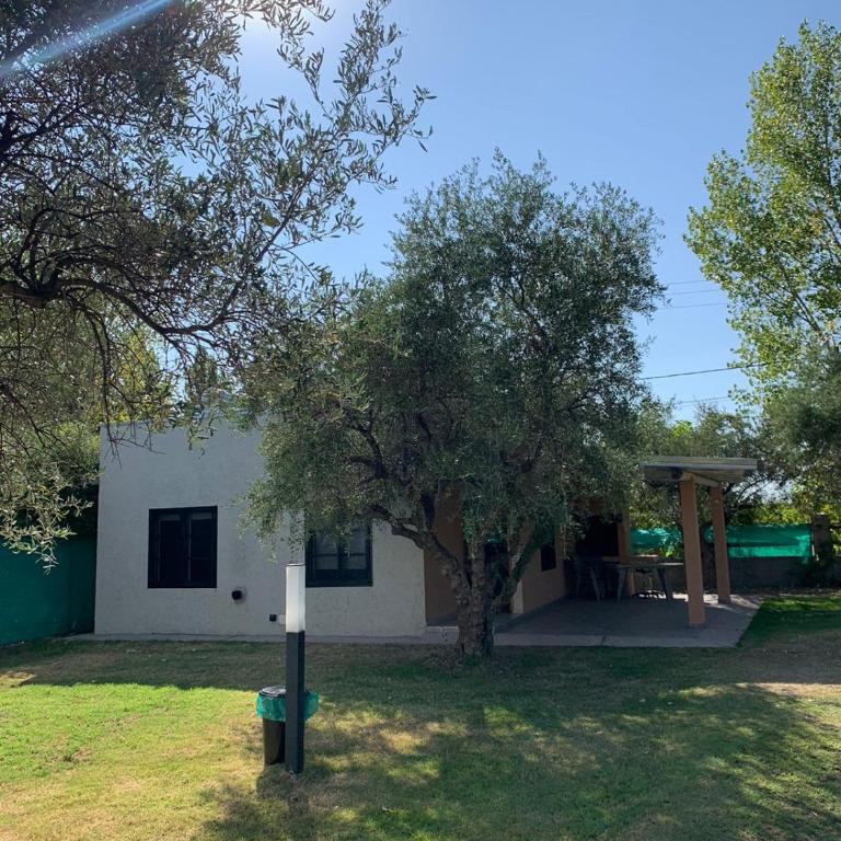 12 Olivos Cabañas - Apartamento de 1 dormitorio - 23