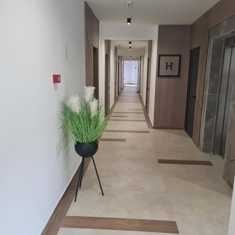 Montebello - Apartman sa 1 Spavaćom Sobom - 8