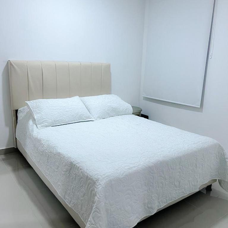 Apartaestudio Amoblado - Apartamento de 1 dormitorio - 2