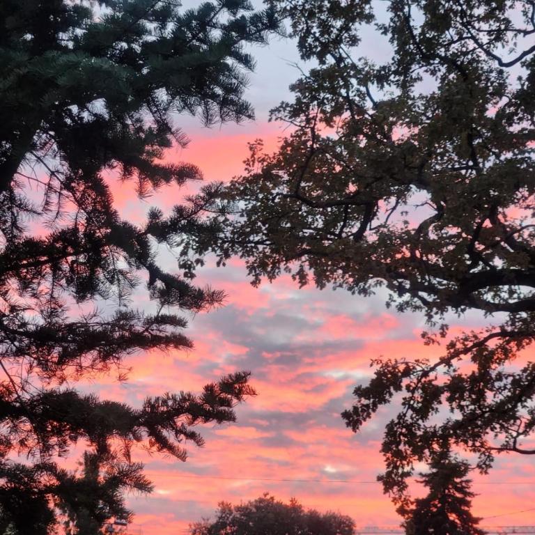 Belgrade Cozy Apartment - City center - Apartman sa 1 Spavaćom Sobom - 15