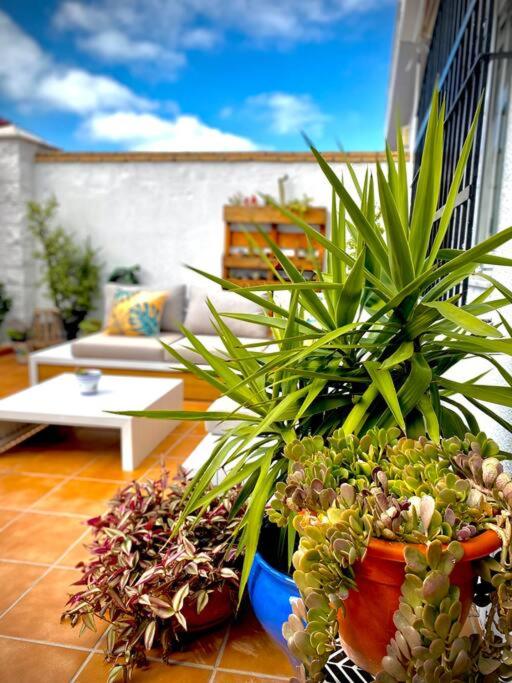 MyChoice Villa Almadraba - Casa de 3 dormitorios - 17