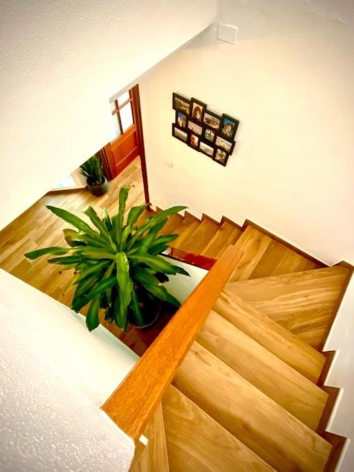 MyChoice Villa Almadraba - Casa de 3 dormitorios - 46