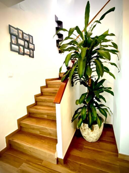 MyChoice Villa Almadraba - Casa de 3 dormitorios - 47
