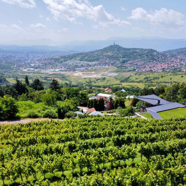 Hedona Vineyard Apartments - Apartman sa 1 Spavaćom Sobom - 2