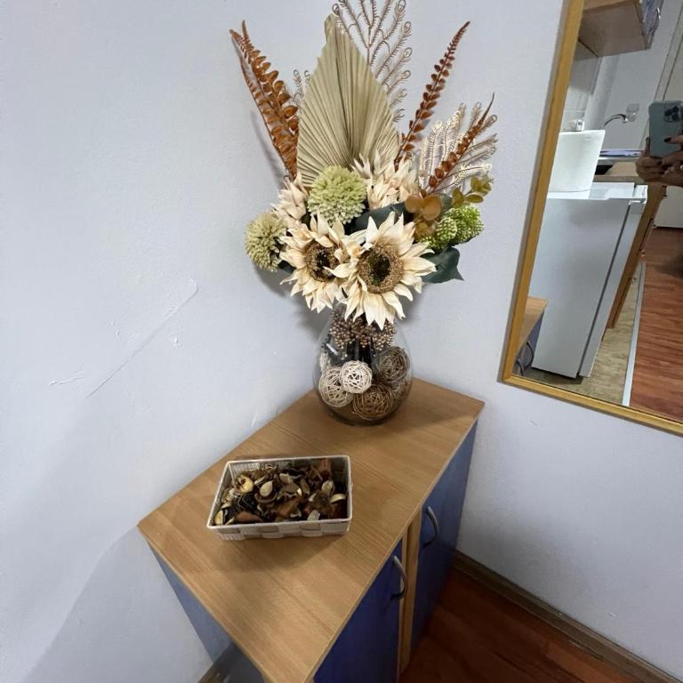 Apartment Dida Ledine - Apartman sa 1 Spavaćom Sobom - 9