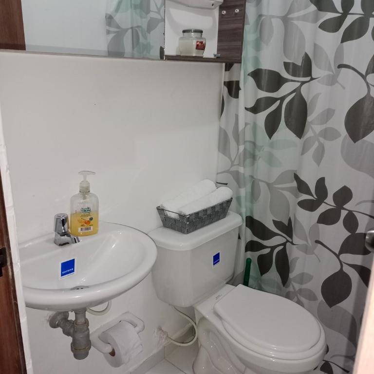 Apartamento Amoblado en Ibague - Apartamento de 3 dormitorios - 18