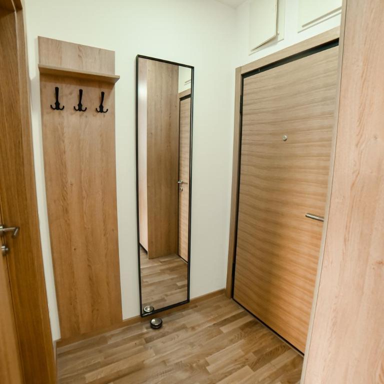 Elena Zlatibor - Apartman sa 1 Spavaćom Sobom - 10
