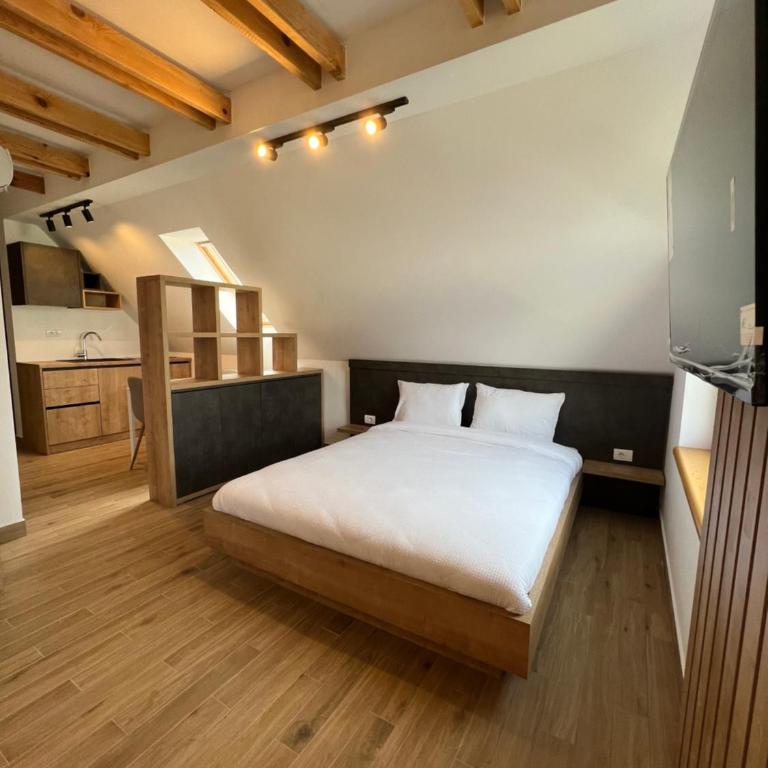 Zlatni Odmor (Centar) - Deluks Dvokrevetni Studio sa Bračnim Krevetom - 10