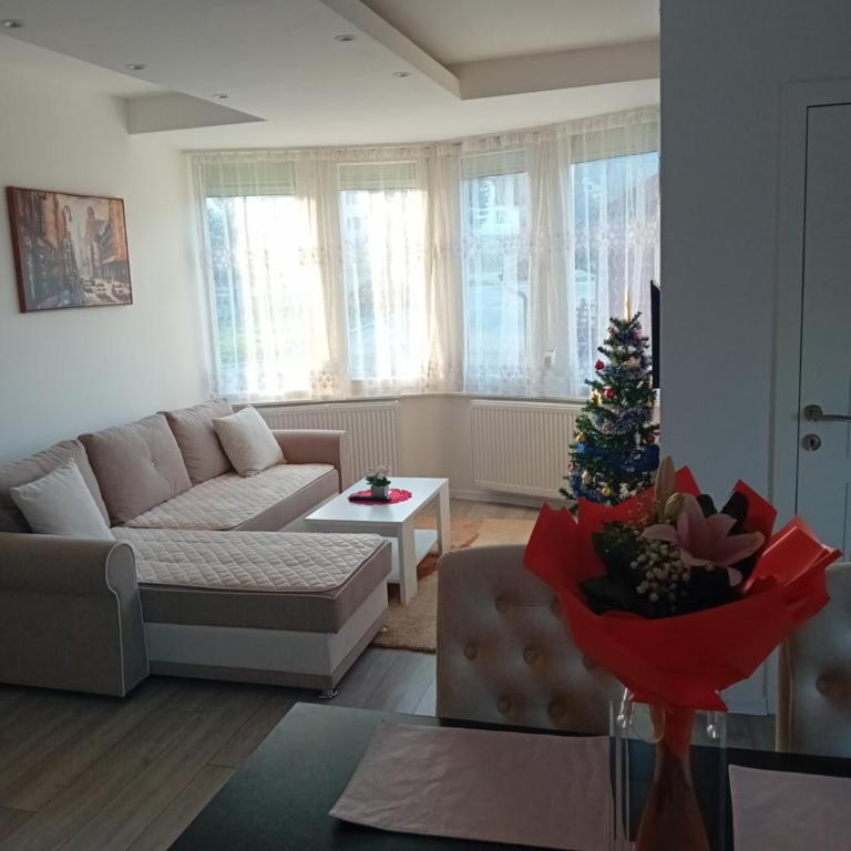 Konak Cicović - One-Bedroom Apartment - 3