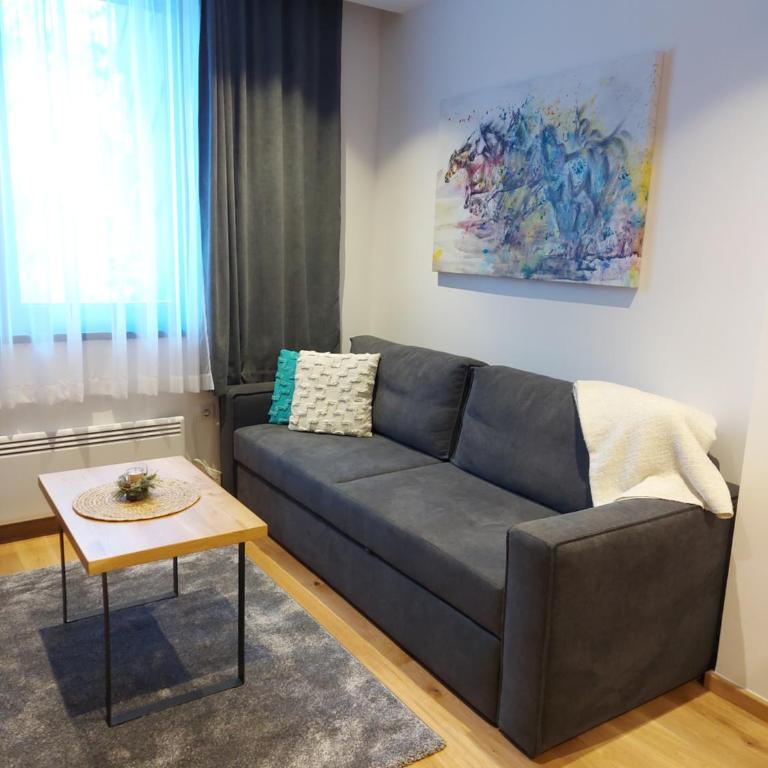 Zlatni javor Apartman 401 - One-Bedroom Apartment - 5