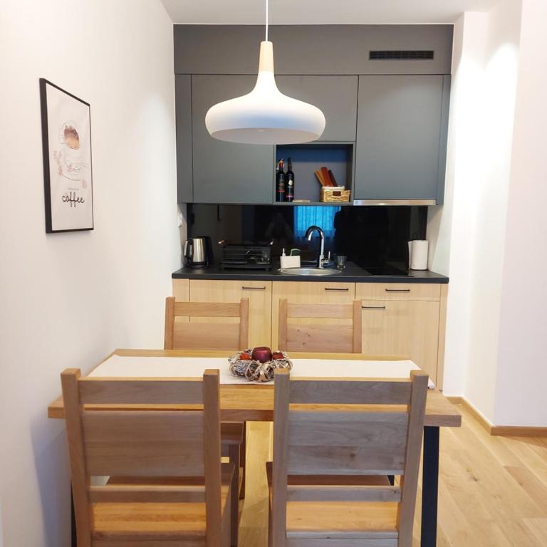 Zlatni javor Apartman 401 - One-Bedroom Apartment - 7