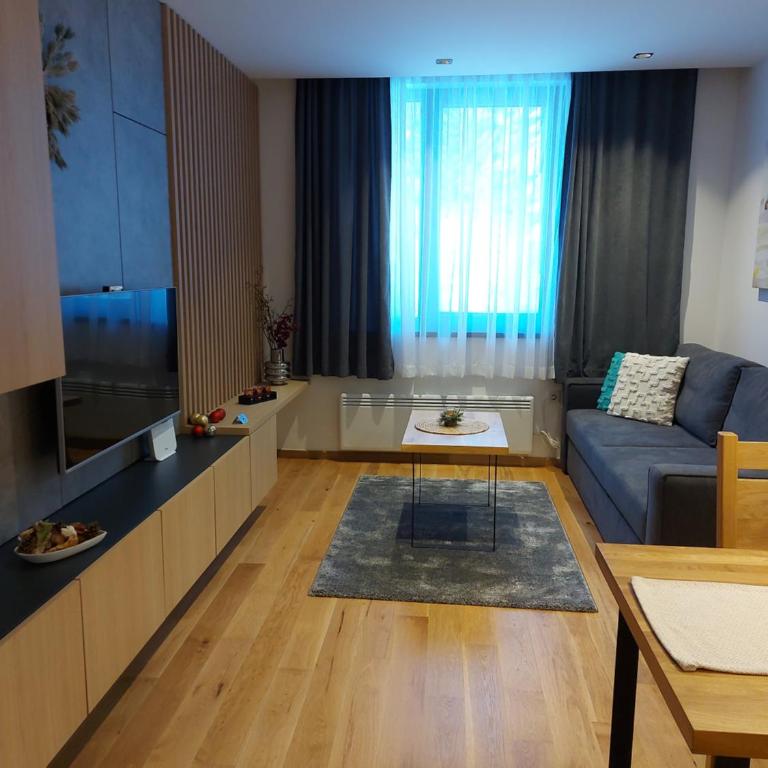 Zlatni javor Apartman 401 - One-Bedroom Apartment - 8