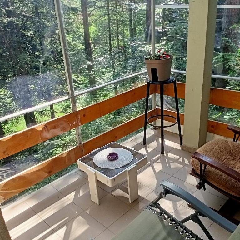 Apartmani Trio sa terasom - Apartman sa Terasom - 6