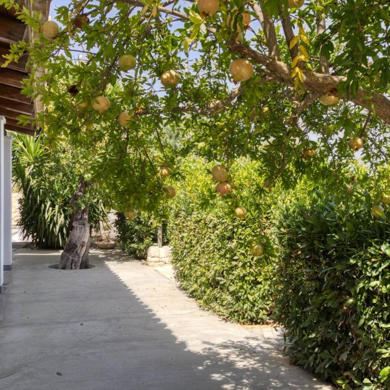 Relais Casa Bonivini - Maestrale - Appartamento con 2 Camere da Letto - 34