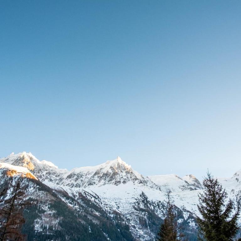 Primerose - Historic Chalet - Garden - Central - 5 bedrooms - Mont-Blanc Views - Chalet - 49