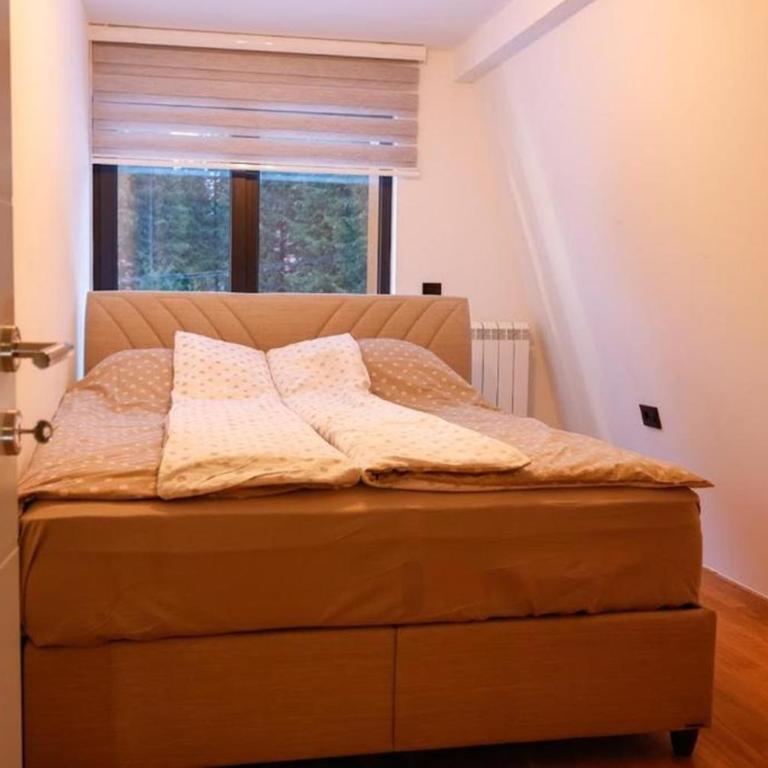 Winter House TT Jahorina - Chalet - 12