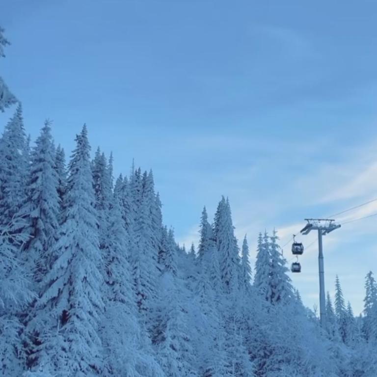 Apartment Snow Valley L6-A1 Jahorina - One-Bedroom Apartment - 23