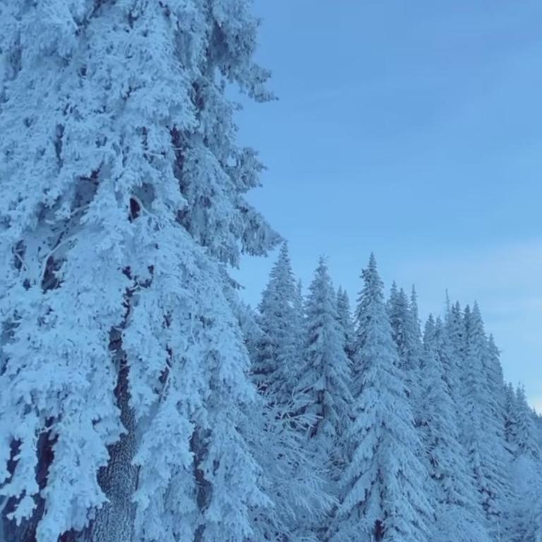 Apartment Snow Valley L6-A1 Jahorina - One-Bedroom Apartment - 24