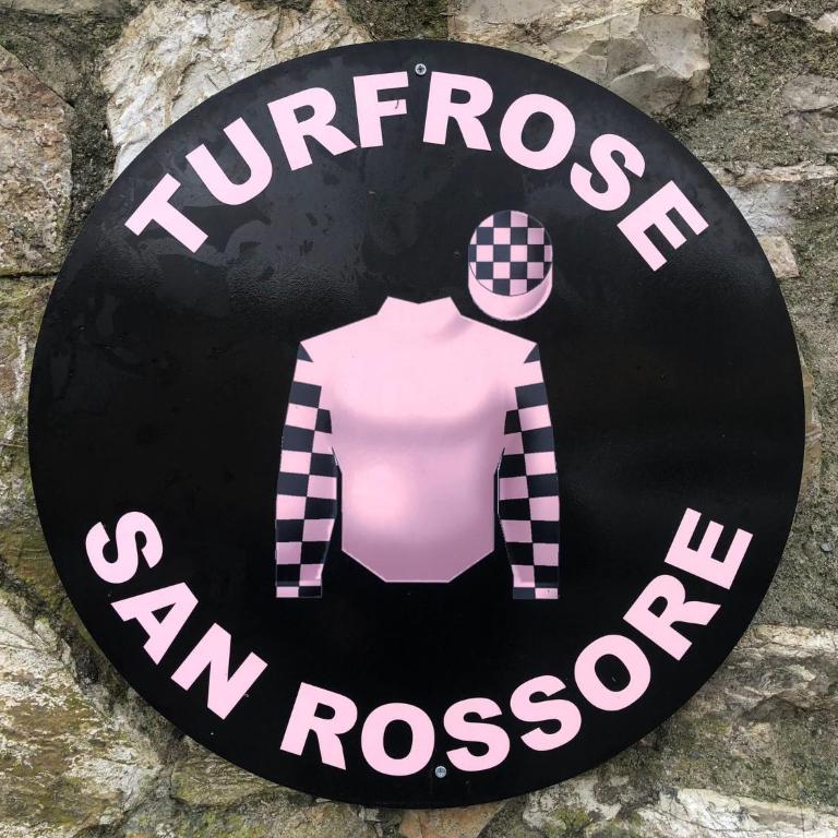 Turfrose di San Rossore a Pisa by Zoom In Earth - Appartamento con 2 Camere da Letto - 13