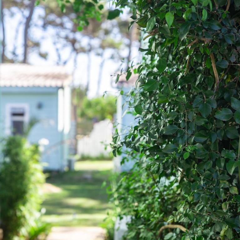 Koru Homes - Casa con 1 dormitorio - 5