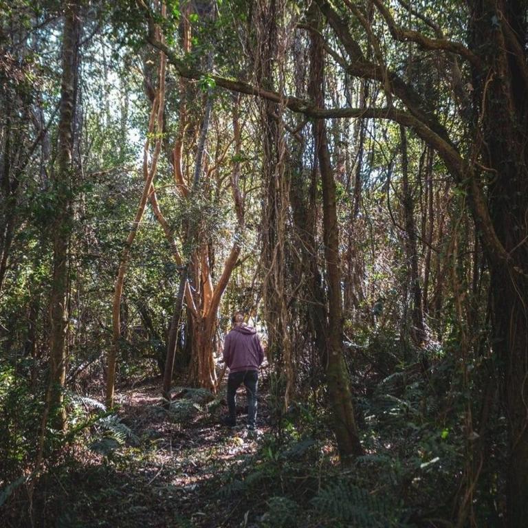 Casa loft con opción de tina temperada - Chalet de 2 dormitorios - 27