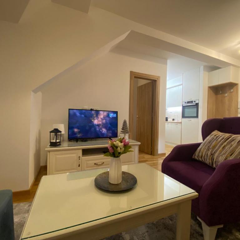 Apartman Tira Wellness i Spa - Apartman sa 1 Spavaćom Sobom - 10