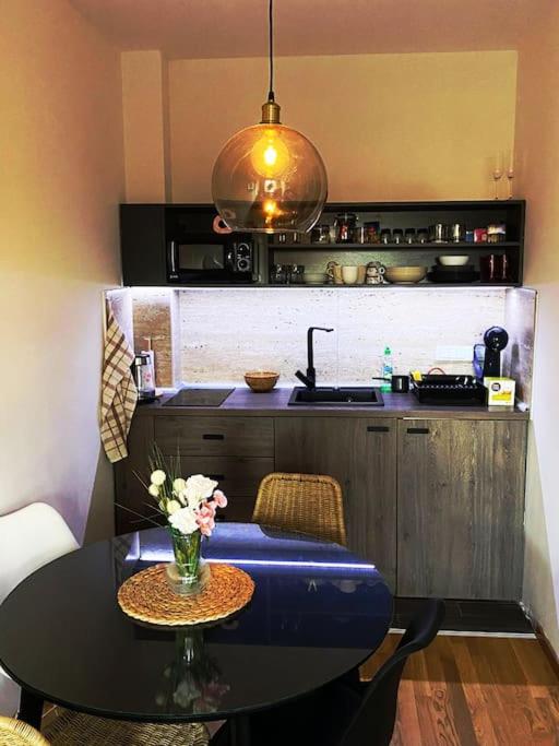 Apartmani Ceranski Zlatibor - Apartman sa 1 Spavaćom Sobom - 4