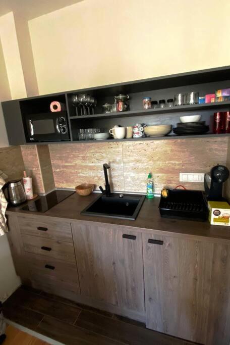 Apartmani Ceranski Zlatibor - Apartman sa 1 Spavaćom Sobom - 5