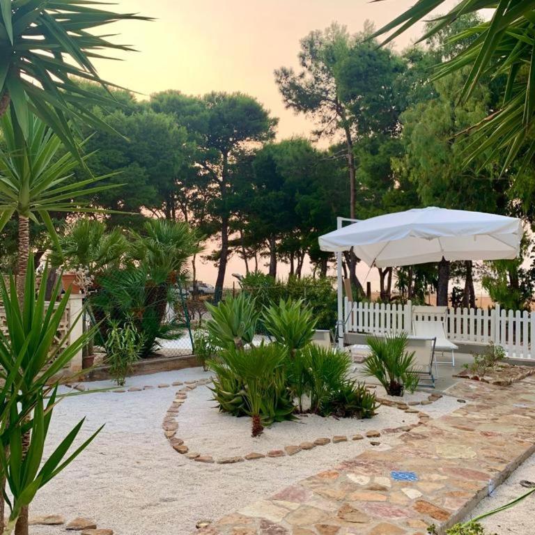 L'oasi Una Pineta Sul Mare - Camera Matrimoniale con Vista Mare - 1