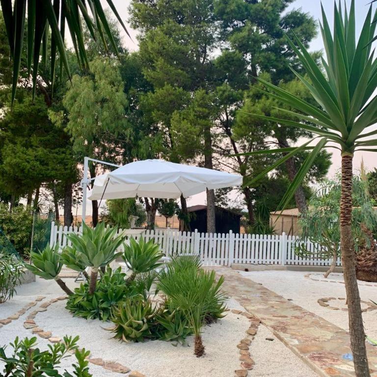 L'oasi Una Pineta Sul Mare - Camera Matrimoniale con Vista Mare - 13