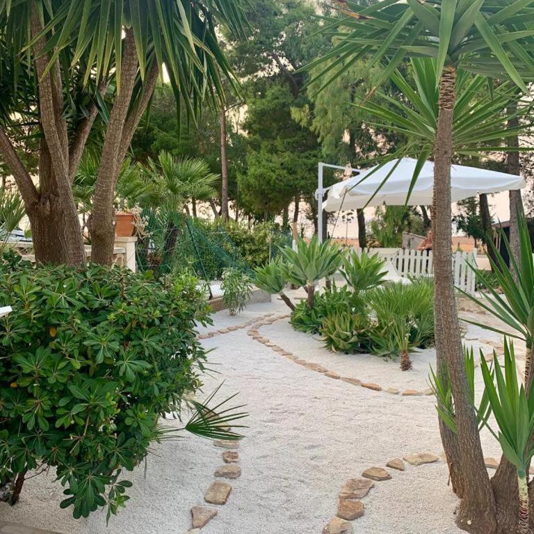 L'oasi Una Pineta Sul Mare - Camera Matrimoniale con Vista Mare - 14