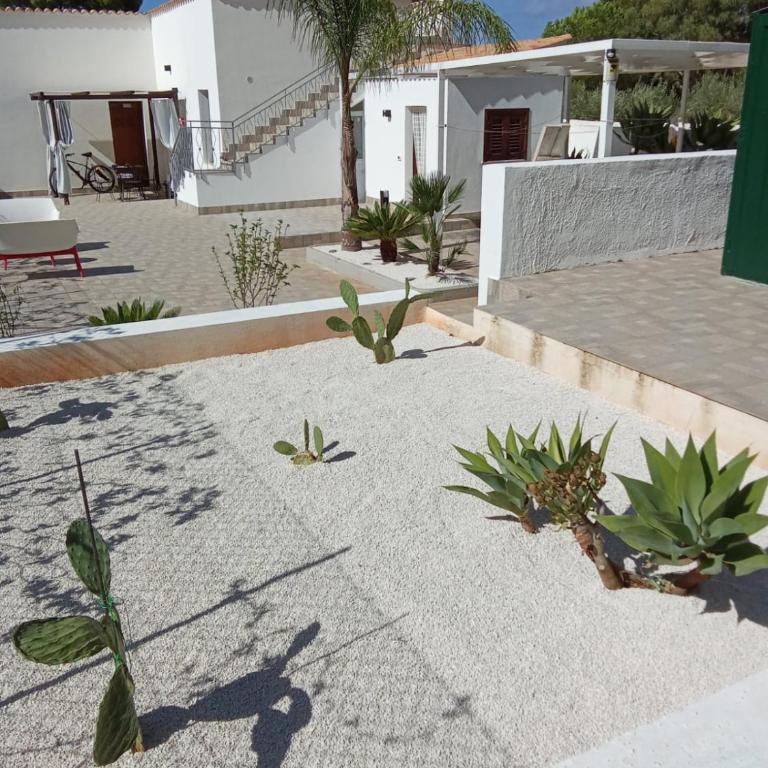 L'oasi Una Pineta Sul Mare - Camera Matrimoniale con Patio - 14