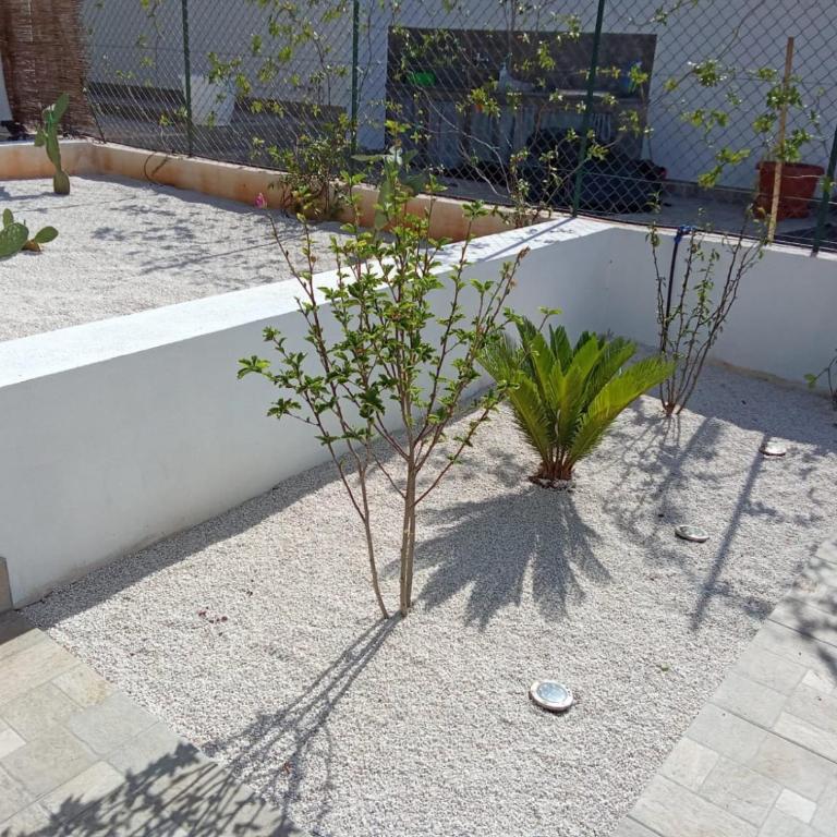 L'oasi Una Pineta Sul Mare - Camera Matrimoniale con Patio - 13