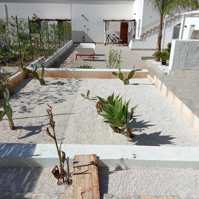 L'oasi Una Pineta Sul Mare - Camera Matrimoniale con Patio - 15
