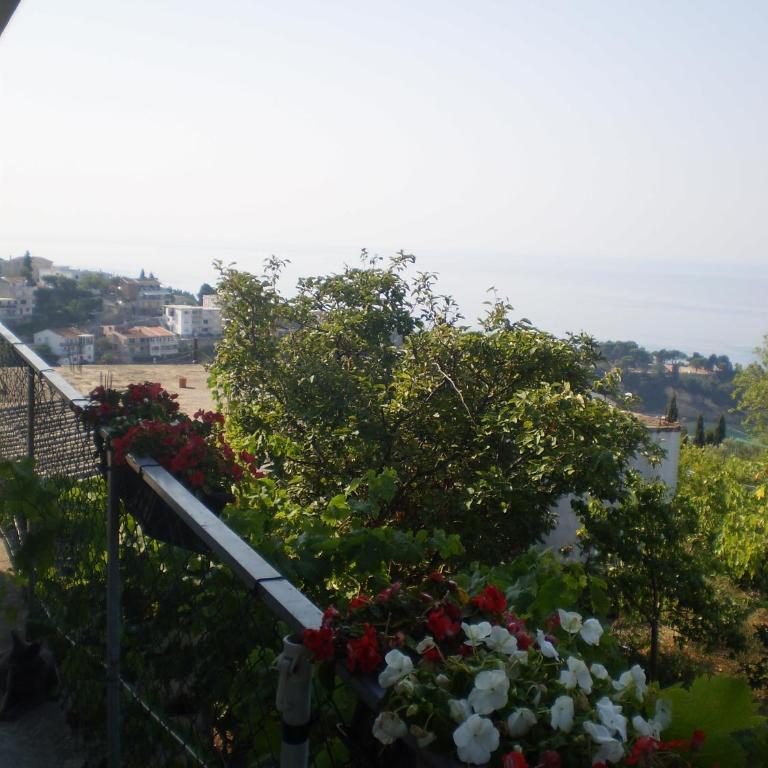 Apartment Vuk i Novak - Apartment with Sea View - 45