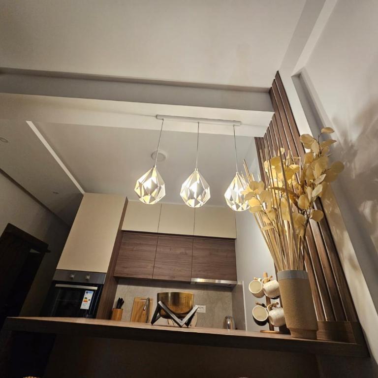 Apartman Košuta-Prezident - Apartman sa 1 Spavaćom Sobom - 9