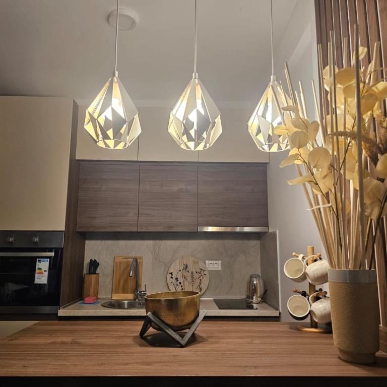 Apartman Košuta-Prezident - Apartman sa 1 Spavaćom Sobom - 8