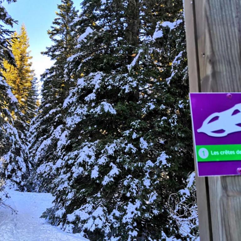 Le Flocon-Studio cabine-Balcon 4-6 Pers à 100m des pistes - Estudio Familiar - 42