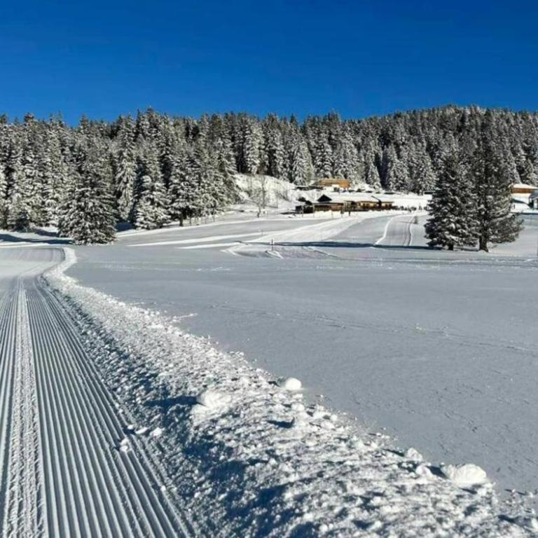 Le Flocon-Studio cabine-Balcon 4-6 Pers à 100m des pistes - Estudio Familiar - 45