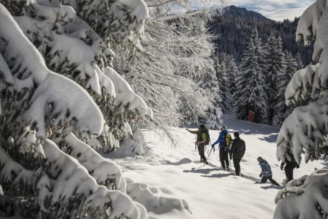 Le Flocon-Studio cabine-Balcon 4-6 Pers à 100m des pistes - Estudio Familiar - 44