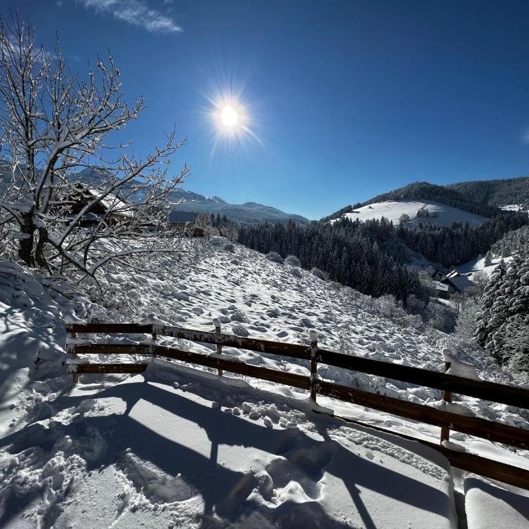Petit chalet Cosy - Chalet 2 Chambres - 12
