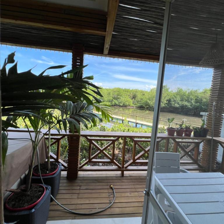 Paraíso en la playa - Suite Doble Deluxe - Cama grande - 32