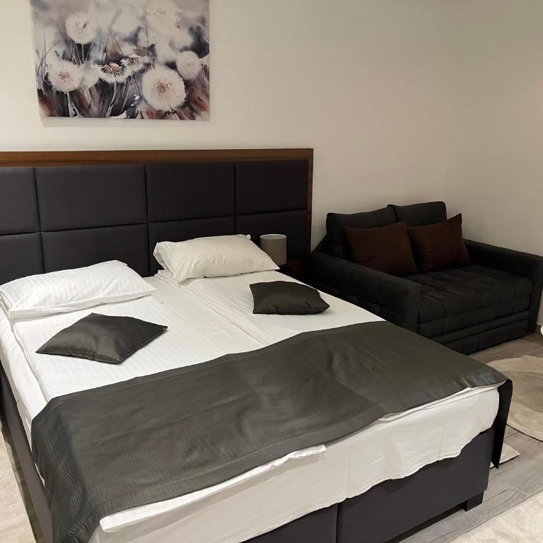 Apart Hotel & spa Zoned II, Kopaonik, apartman Lukač - special benifit Children up to 17 of age accompanied by two adutls staj for free! FREE PARKING! - Deluxe King Studio - 3